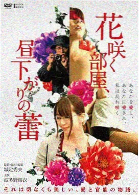 秋霜电视剧全集